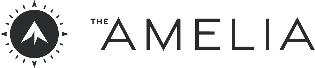The Amelia logo consists of a mountain peak inside a circle with rays emanating from it.